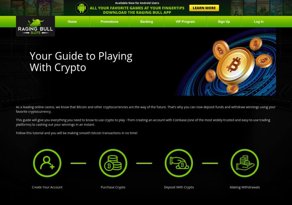 Raging Bull Slots banking and payment options
