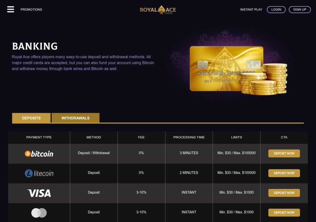 Royal Ace Casino banking and payment options